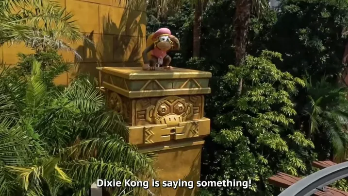 Dixie Kong